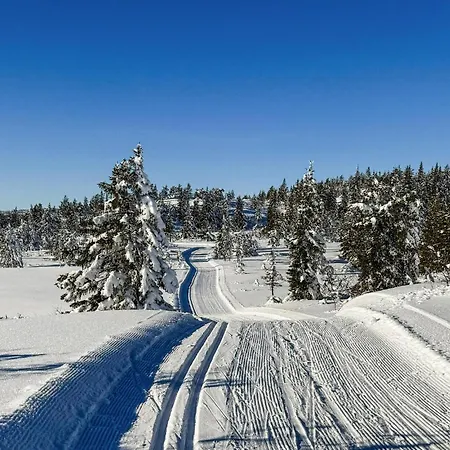 Przytulny Dom W Nissedal Z Sauną * Solli (Nissedal)