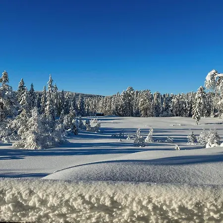 Cozy In Nissedal With Sauna *