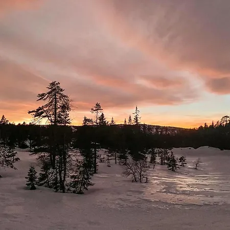 Cozy In Nissedal With Sauna * Solli (Nissedal)