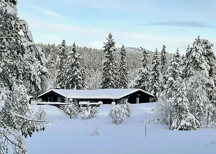 度假居 Cozy In Nissedal With Sauna Solli (Nissedal)