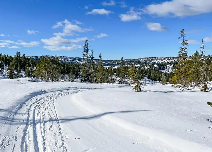 Σπίτι διακοπών Cozy In Nissedal With Sauna Solli (Nissedal)