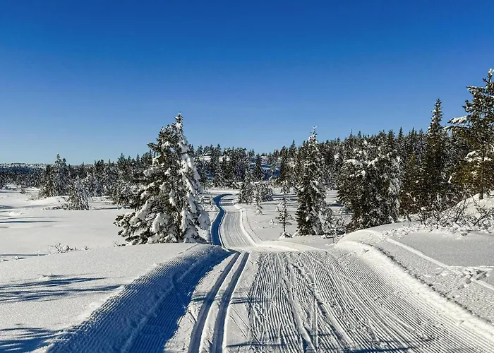 Cozy In Nissedal With Sauna * Solli (Nissedal)